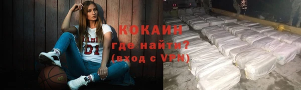 бошки Бородино