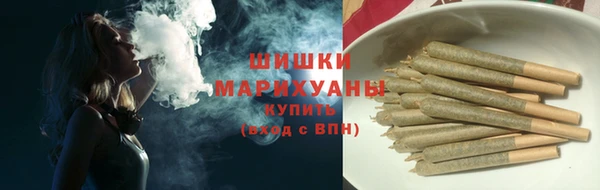 бошки Бородино