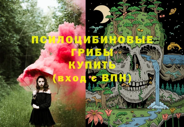 бошки Бородино