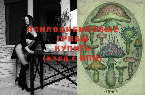бошки Бородино